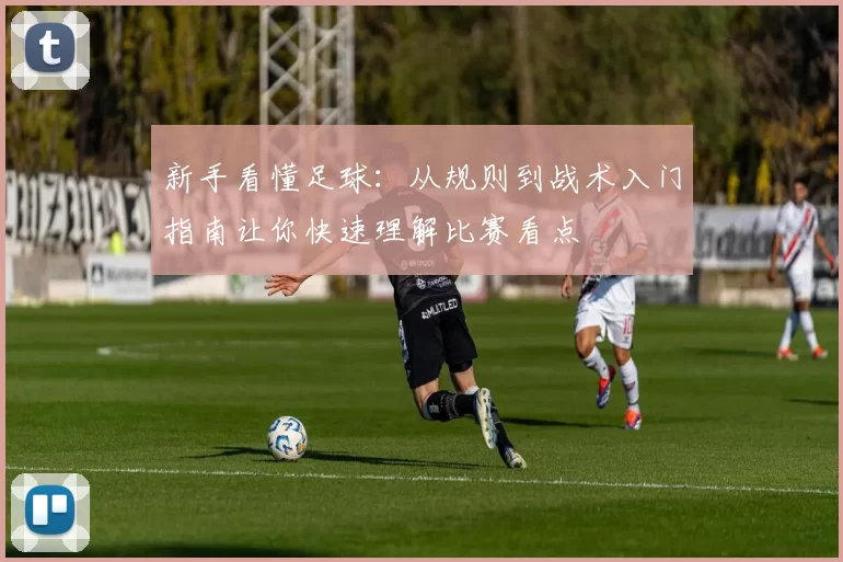 新手看懂足球：从规则到战术入门指南让你快速理解比赛看点