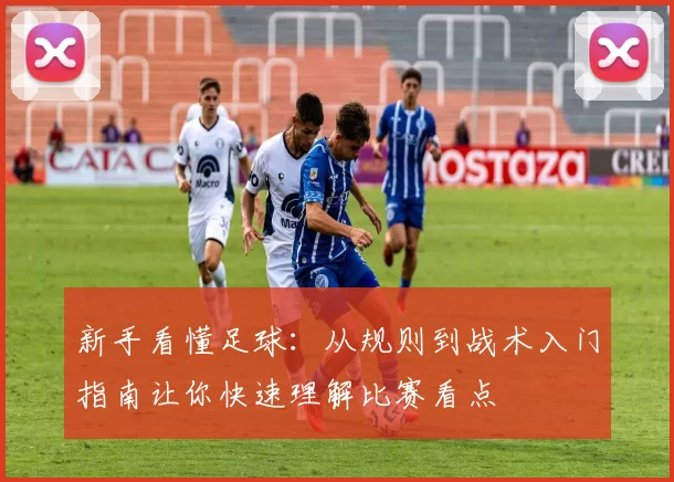 新手看懂足球：从规则到战术入门指南让你快速理解比赛看点