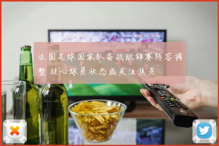法国足球国家队备战欧锦赛阵容调整 核心球员状态成关注焦点